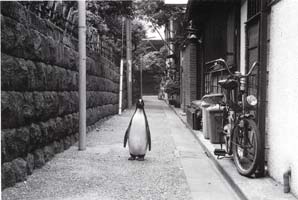 �����擒��